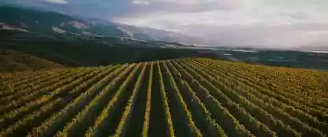 Free download Akarua Wines Brand Film video and edit with RedcoolMedia movie maker MovieStudio video editor online and AudioStudio audio editor onlin