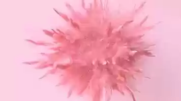 Free download Akira Dawson Show Reel 2019 video and edit with RedcoolMedia movie maker MovieStudio video editor online and AudioStudio audio editor onlin