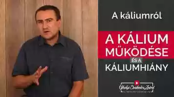 Free download A klium hinyrl, az okairl + a megszűntetse video and edit with RedcoolMedia movie maker MovieStudio video editor online and AudioStudio audio editor onlin