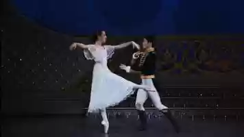 Free download Alberta Ballet Nutcracker, 2019 - Trailer video and edit with RedcoolMedia movie maker MovieStudio video editor online and AudioStudio audio editor onlin
