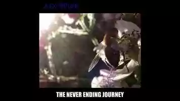 Free download Alex Romane; The Never Ending Journey video and edit with RedcoolMedia movie maker MovieStudio video editor online and AudioStudio audio editor onlin