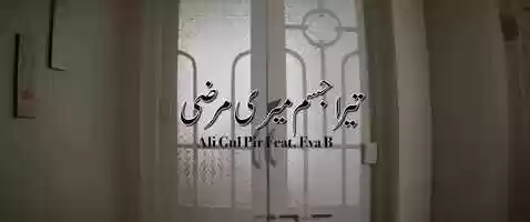 Free download Ali Gul Pir - Tera Jism Meri Marzi (Music Video) video and edit with RedcoolMedia movie maker MovieStudio video editor online and AudioStudio audio editor onlin