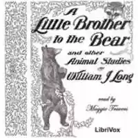 Free download A Little Brother to the Bear audio book and edit with RedcoolMedia movie maker MovieStudio video editor online and AudioStudio audio editor onlin