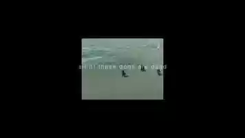 Free download all of these dogs are dead video and edit with RedcoolMedia movie maker MovieStudio video editor online and AudioStudio audio editor onlin