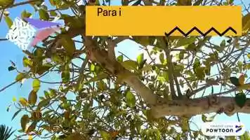 Free download ALOUATTA video and edit with RedcoolMedia movie maker MovieStudio video editor online and AudioStudio audio editor onlin