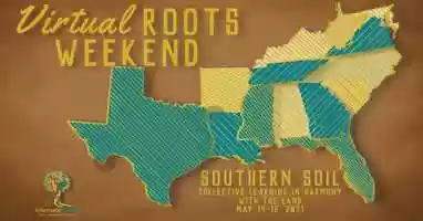 Free download Alternate ROOTS 2021 Virtual ROOTS Weekend video and edit with RedcoolMedia movie maker MovieStudio video editor online and AudioStudio audio editor onlin