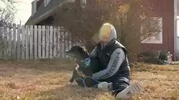 Free download Always and Furever Midwest Animal Sanctuary - Adoption Jake  Henry video and edit with RedcoolMedia movie maker MovieStudio video editor online and AudioStudio audio editor onlin