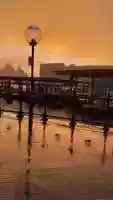 Free download Amazing Sydney rainy sunrise video and edit with RedcoolMedia movie maker MovieStudio video editor online and AudioStudio audio editor onlin