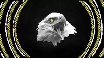 Free download American Legal Roles Short Animation video and edit with RedcoolMedia movie maker MovieStudio video editor online and AudioStudio audio editor onlin