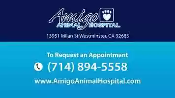 Free download Amigo Animal Hospital video and edit with RedcoolMedia movie maker MovieStudio video editor online and AudioStudio audio editor onlin