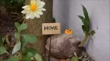 Free download Amigo Imaginrio - Animao Artesanal video and edit with RedcoolMedia movie maker MovieStudio video editor online and AudioStudio audio editor onlin