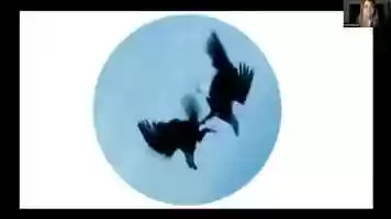 Free download AML Space - After Before - Stefani Byrd video and edit with RedcoolMedia movie maker MovieStudio video editor online and AudioStudio audio editor onlin