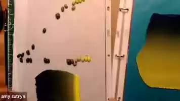 Free download Amy Sutryn Demo - July 3, 2021 video and edit with RedcoolMedia movie maker MovieStudio video editor online and AudioStudio audio editor onlin