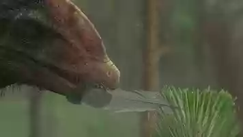 Free download Ancient Earth - The mystery of the feathered dragon - Teaser video and edit with RedcoolMedia movie maker MovieStudio video editor online and AudioStudio audio editor onlin