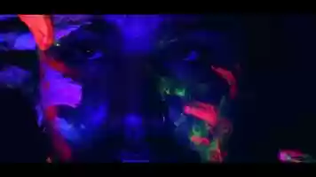 Free download Anemoria // Cashmere Jungle video and edit with RedcoolMedia movie maker MovieStudio video editor online and AudioStudio audio editor onlin