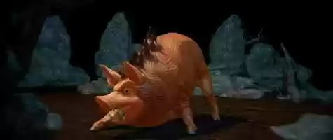 Free download Angry Pig video and edit with RedcoolMedia movie maker MovieStudio video editor online and AudioStudio audio editor onlin