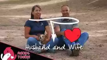 Free download Animal Adoption Story video and edit with RedcoolMedia movie maker MovieStudio video editor online and AudioStudio audio editor onlin