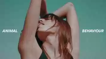 Free download Animal Behaviour video and edit with RedcoolMedia movie maker MovieStudio video editor online and AudioStudio audio editor onlin