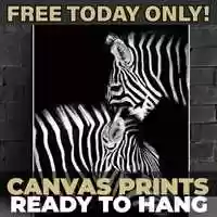 Free download Animal Canvas Wall Art video and edit with RedcoolMedia movie maker MovieStudio video editor online and AudioStudio audio editor onlin