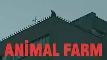 Free download ANIMAL FARM video and edit with RedcoolMedia movie maker MovieStudio video editor online and AudioStudio audio editor onlin