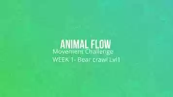 Free download Animal Flow- movement challenge- Bear crawl lvl1 video and edit with RedcoolMedia movie maker MovieStudio video editor online and AudioStudio audio editor onlin