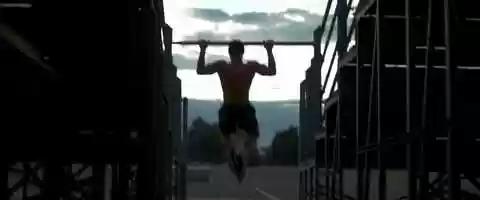 Free download animal video and edit with RedcoolMedia movie maker MovieStudio video editor online and AudioStudio audio editor onlin