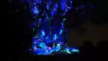 Free download Animal Kingdom Tree of Life Animation - July 9, 2019 video and edit with RedcoolMedia movie maker MovieStudio video editor online and AudioStudio audio editor onlin