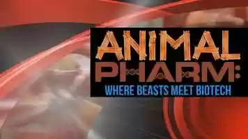Free download ANIMAL PHARM - 3-MIN TRAILER video and edit with RedcoolMedia movie maker MovieStudio video editor online and AudioStudio audio editor onlin