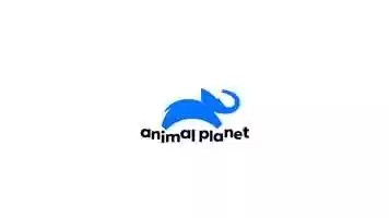 Free download Animal Planet Logo Animation video and edit with RedcoolMedia movie maker MovieStudio video editor online and AudioStudio audio editor onlin