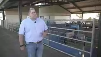 Free download Animal Science video and edit with RedcoolMedia movie maker MovieStudio video editor online and AudioStudio audio editor onlin