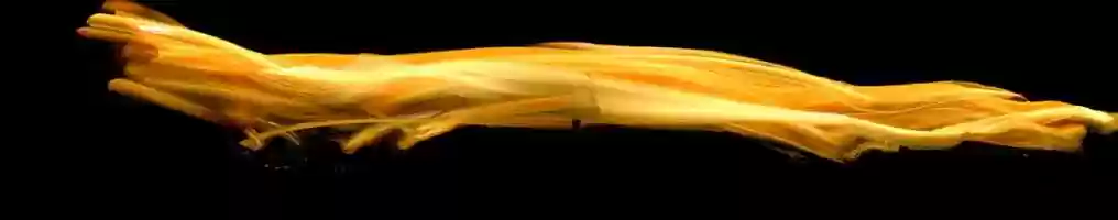 Free download animals movement - running dog video and edit with RedcoolMedia movie maker MovieStudio video editor online and AudioStudio audio editor onlin