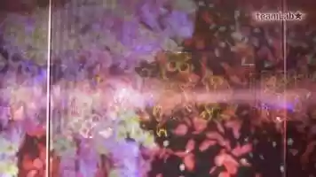 Free download Animals of Flowers, Symbiotic Lives - Layered Ultrasubjective Space video and edit with RedcoolMedia movie maker MovieStudio video editor online and AudioStudio audio editor onlin