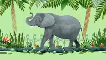 Free download Animal Songs video and edit with RedcoolMedia movie maker MovieStudio video editor online and AudioStudio audio editor onlin