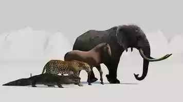 Free download Animals walk Study video and edit with RedcoolMedia movie maker MovieStudio video editor online and AudioStudio audio editor onlin