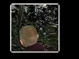 Free download Animal types video and edit with RedcoolMedia movie maker MovieStudio video editor online and AudioStudio audio editor onlin