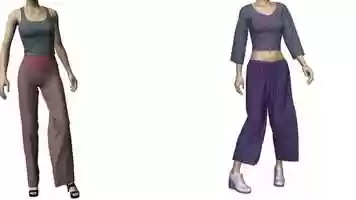 Free download Animated clothing example with and without bodies video and edit with RedcoolMedia movie maker MovieStudio video editor online and AudioStudio audio editor onlin