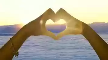 Free download Animated Photo, Photo animation. video and edit with RedcoolMedia MovieStudio video editor online and AudioStudio audio editor onlin
