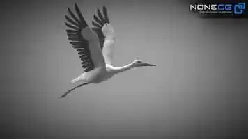 Free download Animated Stork 3D Model video and edit with RedcoolMedia movie maker MovieStudio video editor online and AudioStudio audio editor onlin