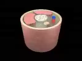 Free download ANIMATION ABSORBING SYSTEM MOVEMENT GRAVITY LEG video and edit with RedcoolMedia movie maker MovieStudio video editor online and AudioStudio audio editor onlin