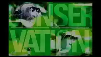 Free download Animation cc1 video and edit with RedcoolMedia movie maker MovieStudio video editor online and AudioStudio audio editor onlin