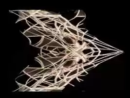 Free download ANIMATION COMBINED CONSTRAINT GLIDING SYSTEM FIBRILLAR NETWORK FORWARD video and edit with RedcoolMedia movie maker MovieStudio video editor online and AudioStudio audio editor onlin