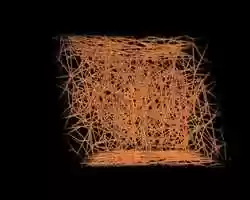 Free download ANIMATION DERMIS FIBRILLAR NETWORK TRANSLATION MOVEMENT video and edit with RedcoolMedia movie maker MovieStudio video editor online and AudioStudio audio editor onlin