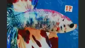 Free download Animation Draft video and edit with RedcoolMedia movie maker MovieStudio video editor online and AudioStudio audio editor onlin