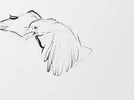 Free download Animation experimentation video and edit with RedcoolMedia movie maker MovieStudio video editor online and AudioStudio audio editor onlin