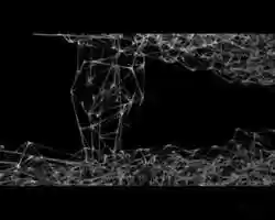 Free download ANIMATION FIBER FIBRILLAR NETWORK MOVEMENT DIVIDING video and edit with RedcoolMedia movie maker MovieStudio video editor online and AudioStudio audio editor onlin
