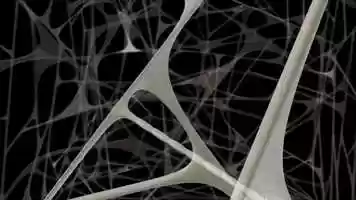 Free download ANIMATION FIBER FIBRILLAR NETWORK MOVEMENT LENGTHENING GLIDING SYSTEM video and edit with RedcoolMedia movie maker MovieStudio video editor online and AudioStudio audio editor onlin