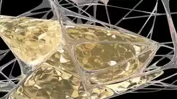 Free download ANIMATION FIBRILLAR NETWORK FATTY CELL SETTLEMENT DILATATION HYPERTROPHY ADIPOSITY video and edit with RedcoolMedia movie maker MovieStudio video editor online and AudioStudio audio editor onlin