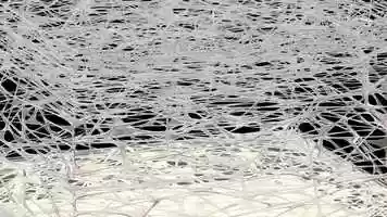 Free download ANIMATION FIBRILLAR NETWORK  GLOBAL ARCHITECTURE  SYSTEM CONTINUITY MOVEMENT video and edit with RedcoolMedia movie maker MovieStudio video editor online and AudioStudio audio editor onlin