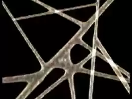 Free download ANIMATION FIBRILLAR NETWORK MOVEMENT ENTROPY PRIGOGINE 2 video and edit with RedcoolMedia movie maker MovieStudio video editor online and AudioStudio audio editor onlin