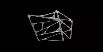 Free download ANIMATION FIBRILLAR NETWORK MOVEMENT RETRACTION ADAPTABILITY video and edit with RedcoolMedia movie maker MovieStudio video editor online and AudioStudio audio editor onlin
